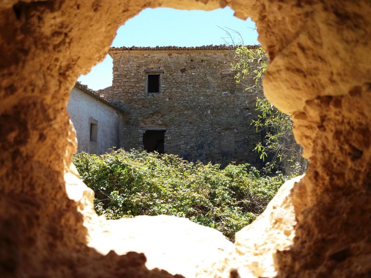 17547039 10212602719452429 5540590471523359356 o (1)