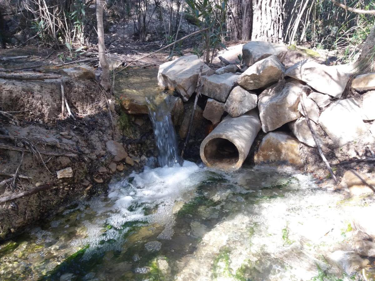 17620253 10212602650090695 6404676437643411687 o