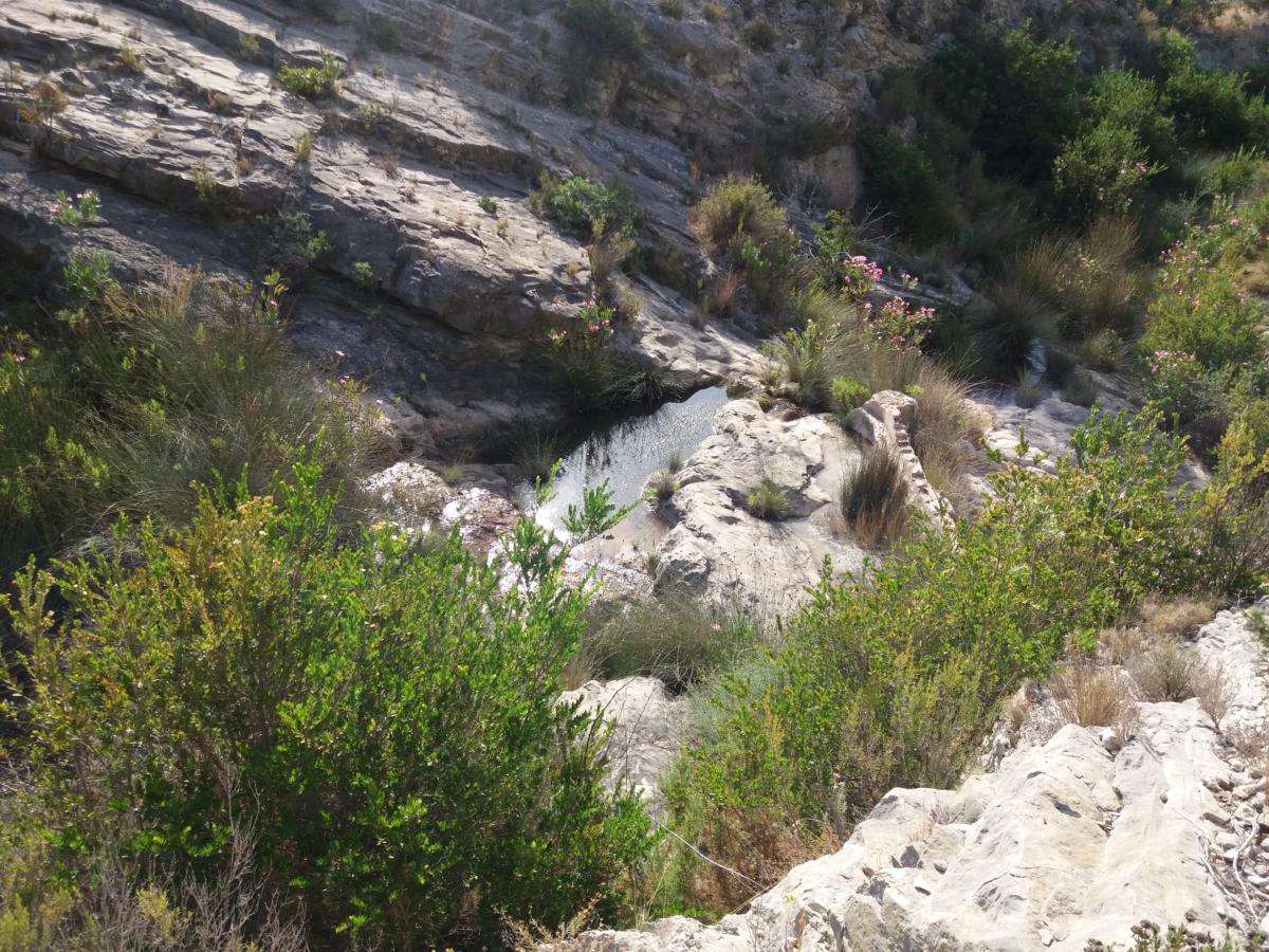 Font del Romero