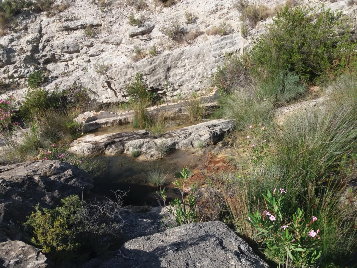 Font del Romero