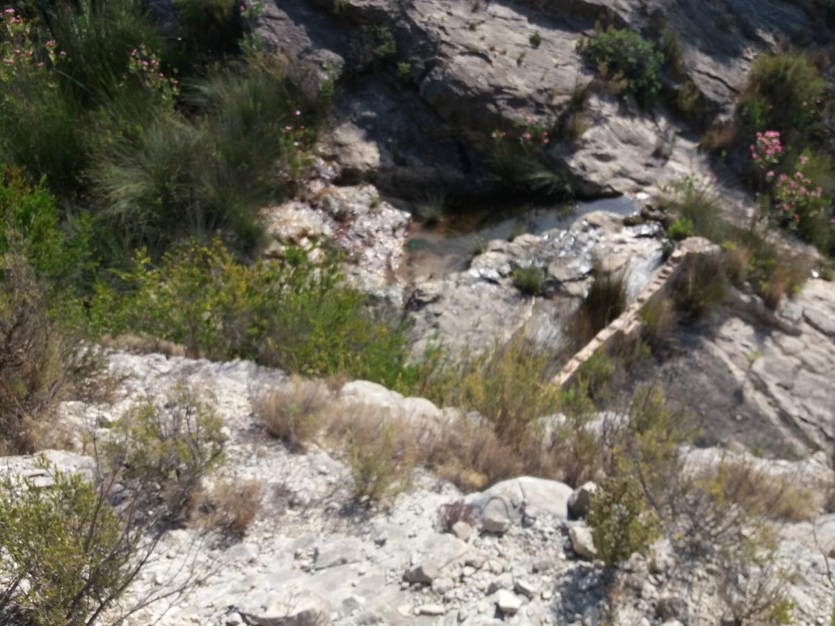 Font del Romero