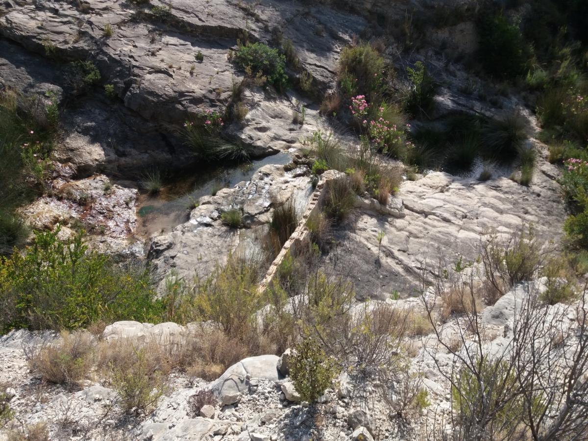 Font del Romero