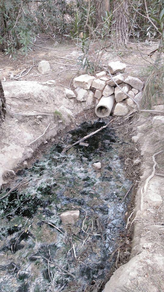 74664629 2779698195414466 3341451875881844736 o