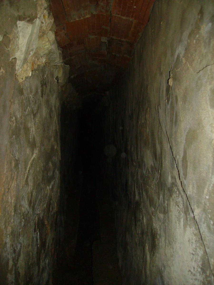 Font de Alècua