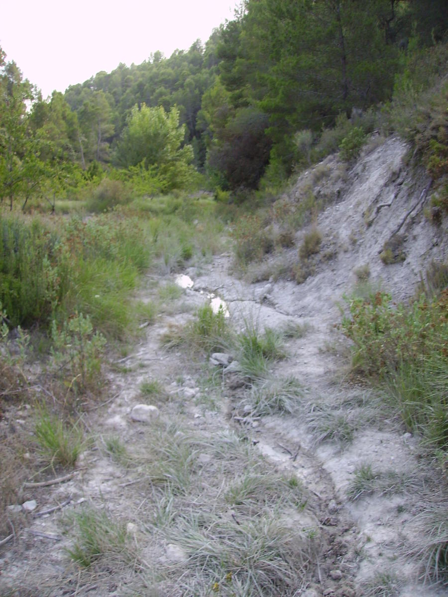 PENTAX Image