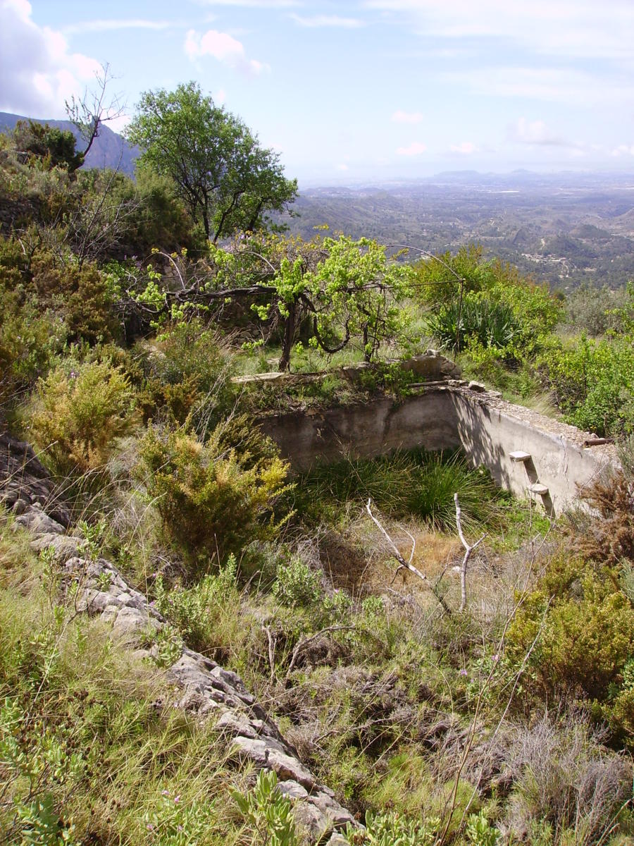 Font del Mas de Pla i Chacó / Font del Mas de Don Benito