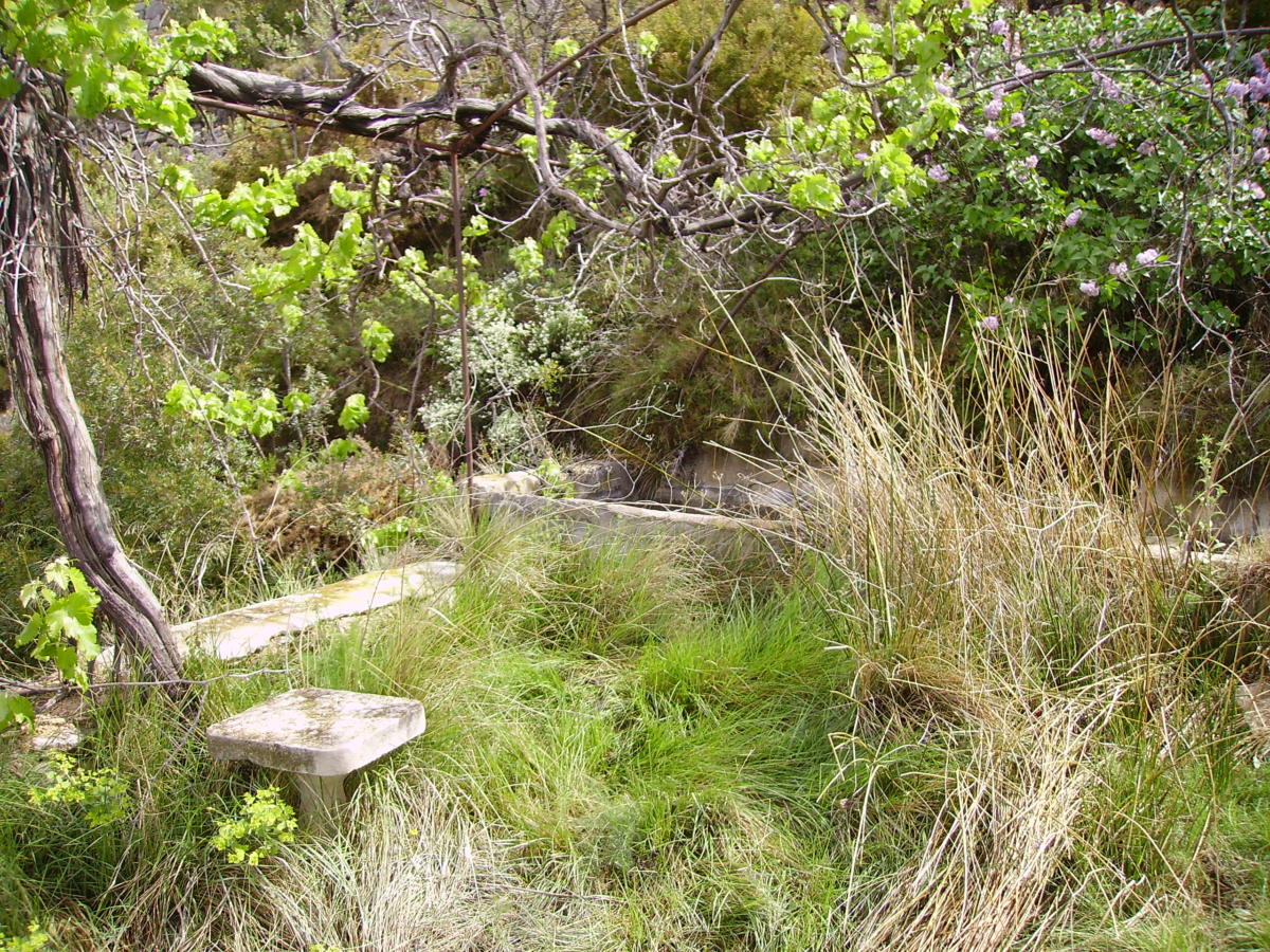 Font del Mas de Pla i Chacó / Font del Mas de Don Benito