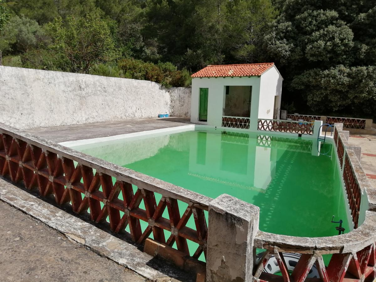 IMG 20200614 110300