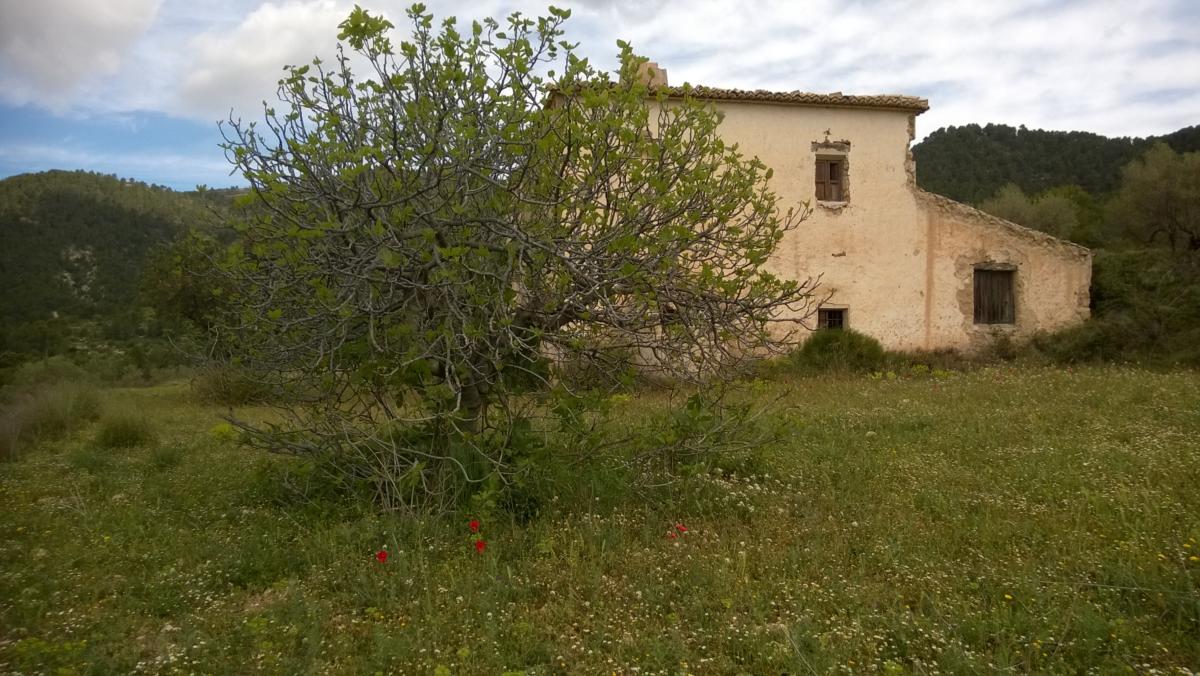 WP 20150426 021