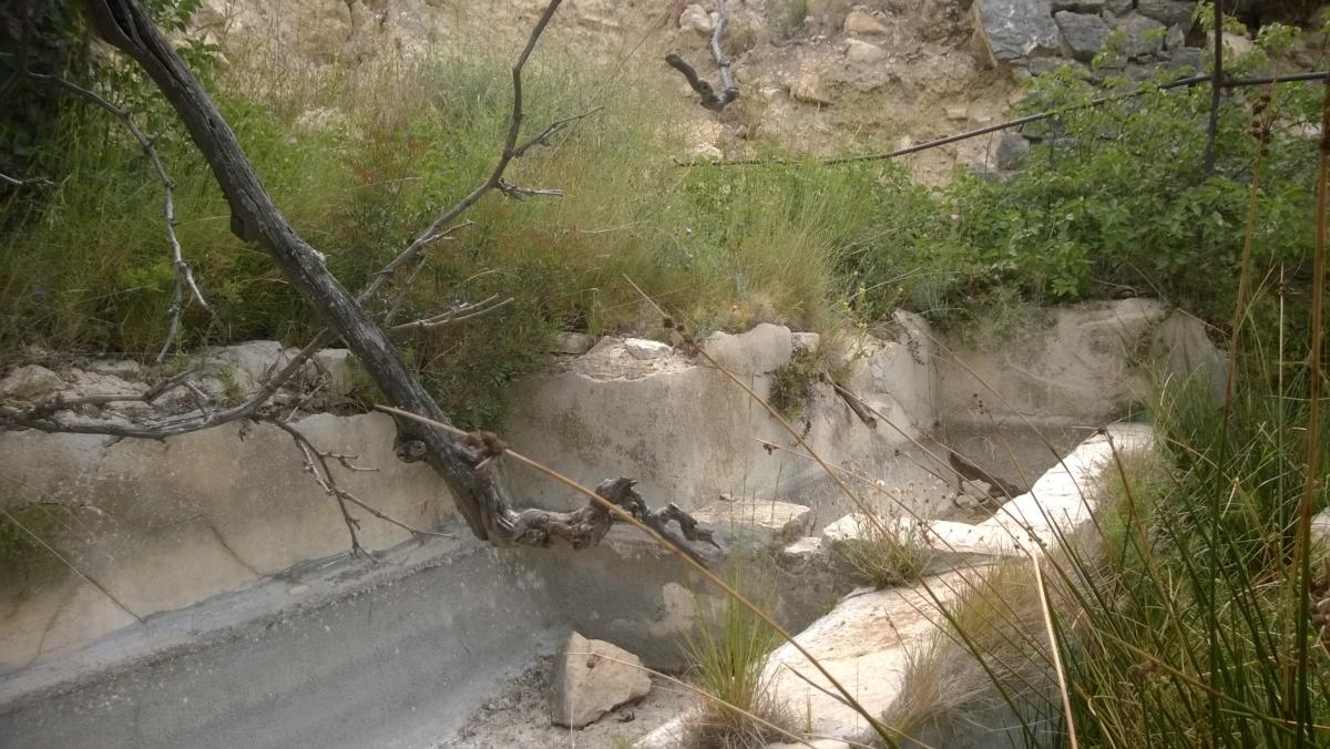 Font del Mas de Pla i Chacó / Font del Mas de Don Benito