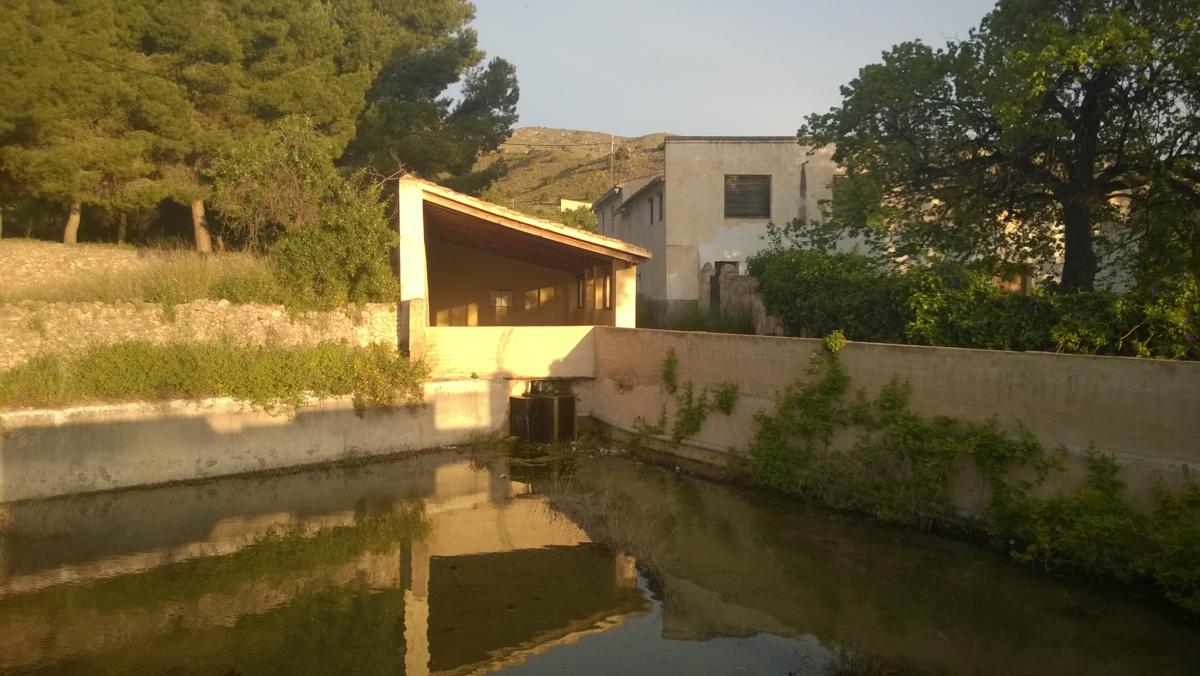 Font de Alècua