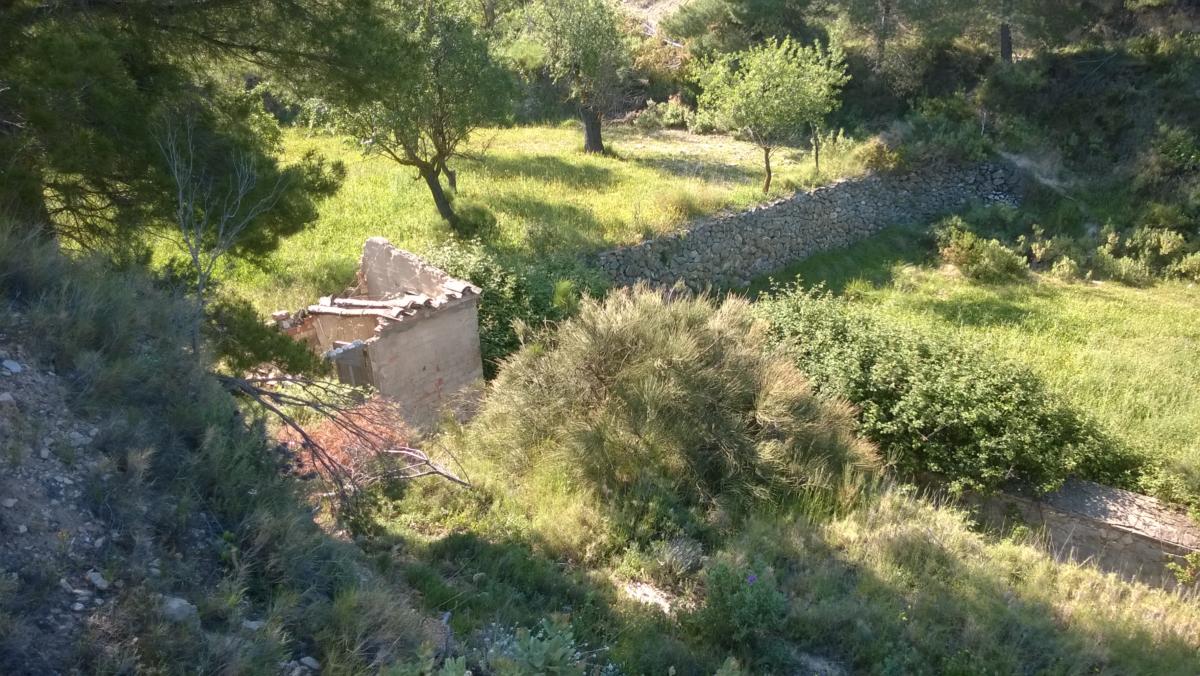 WP 20200524 10 08 38 Pro