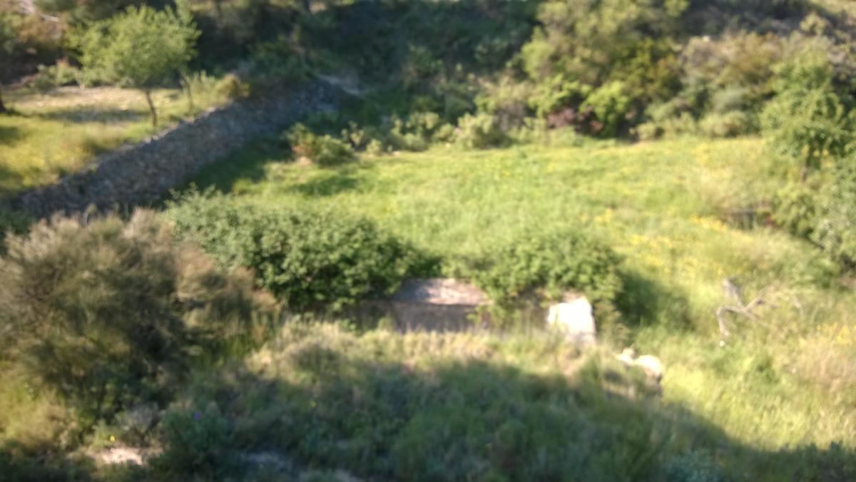 WP 20200524 10 08 41 Pro