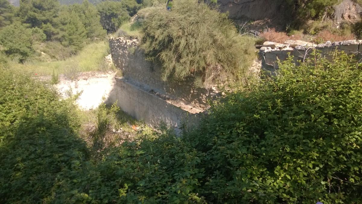 WP 20200524 10 12 09 Pro