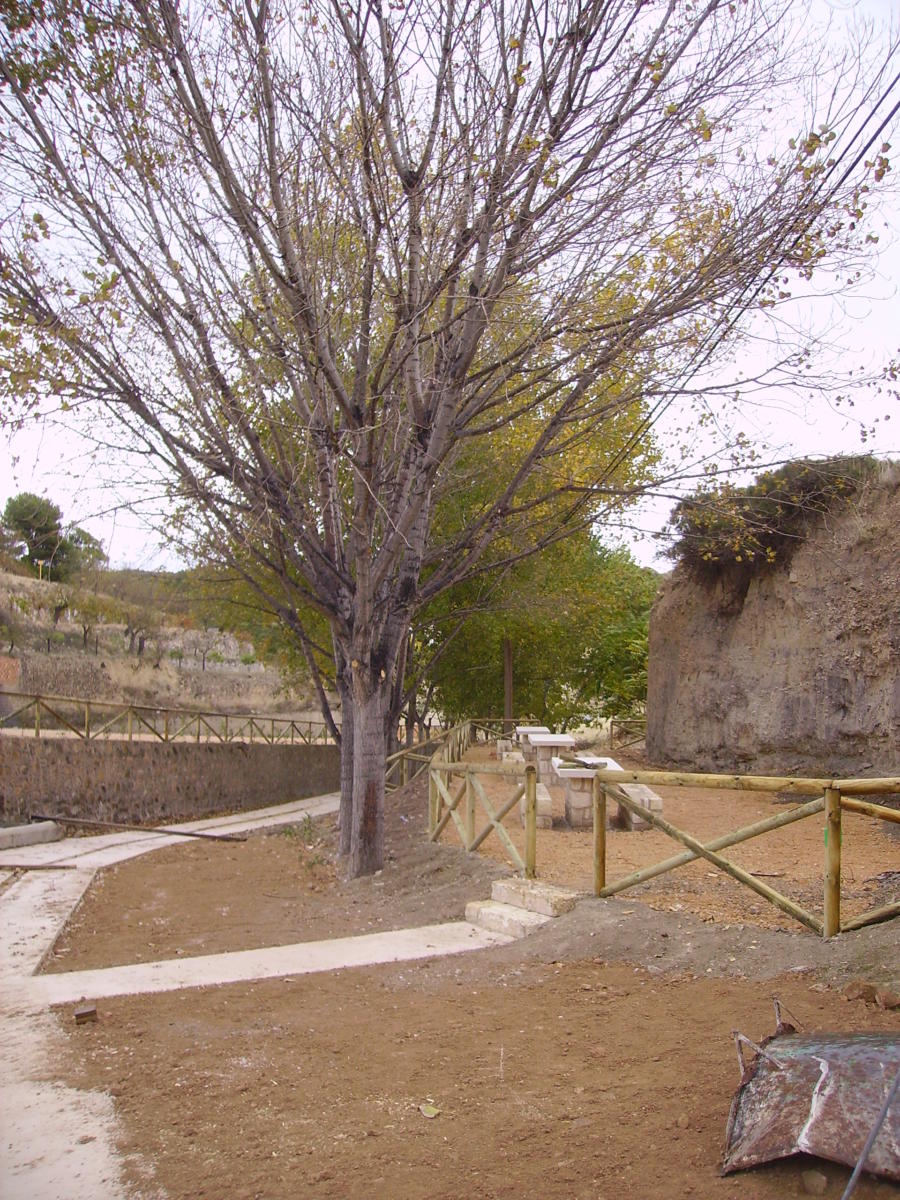 La renovació de la Font de Les Piletes, Xixona